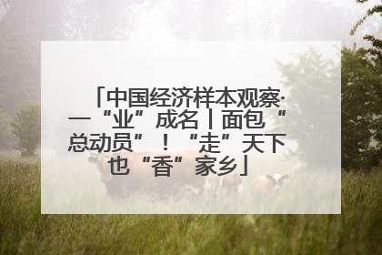 中国经济样本观察·一“业”成名丨面包“总动员”！“走”天下也“香”家乡