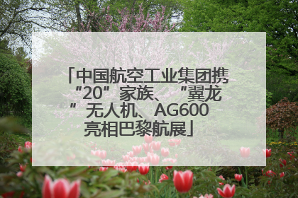 中国航空工业集团携“20”家族、“翼龙”无人机、AG600亮相巴黎航展