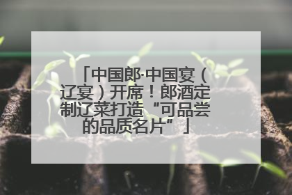 中国郎·中国宴（辽宴）开席！郎酒定制辽菜打造“可品尝的品质名片”