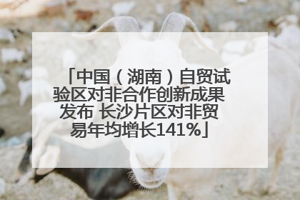 中国（湖南）自贸试验区对非合作创新成果发布 长沙片区对非贸易年均增长141%