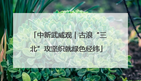 中新武威观｜古浪“三北”攻坚织就绿色经纬