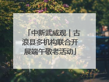中新武威观｜古浪县多机构联合开展端午敬老活动