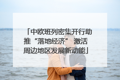 中欧班列密集开行助推“落地经济” 激活周边地区发展新动能