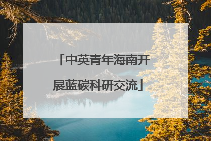 中英青年海南开展蓝碳科研交流