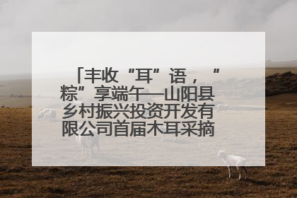 丰收“耳”语，“粽”享端午—山阳县乡村振兴投资开发有限公司首届木耳采摘活动盛大启幕
