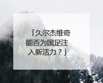 久尔杰维奇能否为国足注入新活力？