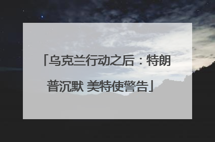 乌克兰行动之后：特朗普沉默 美特使警告