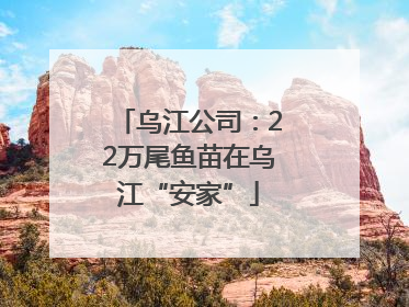 乌江公司：22万尾鱼苗在乌江“安家”