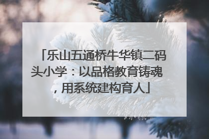 乐山五通桥牛华镇二码头小学：以品格教育铸魂，用系统建构育人