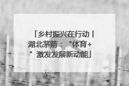 乡村振兴在行动丨湖北茅箭：“体育+”激发发展新动能