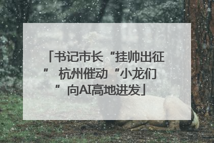 书记市长“挂帅出征” 杭州催动“小龙们”向AI高地进发