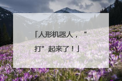 人形机器人，“打”起来了！