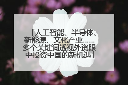 人工智能、半导体、新能源、文化产业……多个关键词透视外资眼中投资中国的新机遇