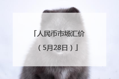 人民币市场汇价（5月28日）