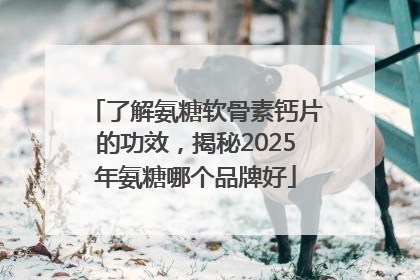 了解氨糖软骨素钙片的功效，揭秘2025年氨糖哪个品牌好