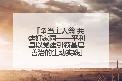 争当主人翁 共建好家园——平利县以党建引领基层善治的生动实践