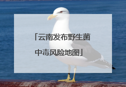 云南发布野生菌中毒风险地图