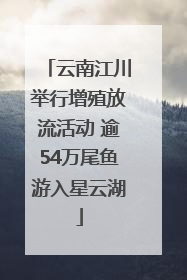 云南江川举行增殖放流活动 逾54万尾鱼游入星云湖