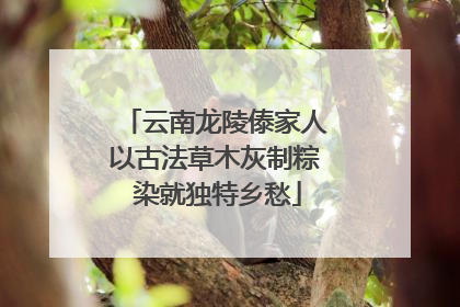 云南龙陵傣家人以古法草木灰制粽 染就独特乡愁