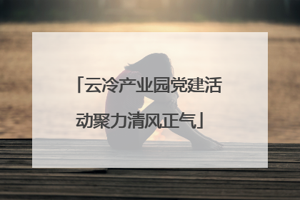 云冷产业园党建活动聚力清风正气