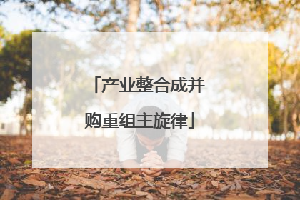 产业整合成并购重组主旋律