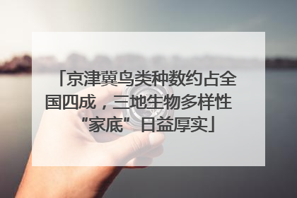 京津冀鸟类种数约占全国四成，三地生物多样性“家底”日益厚实
