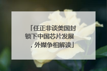 任正非谈美国封锁下中国芯片发展，外媒争相解读