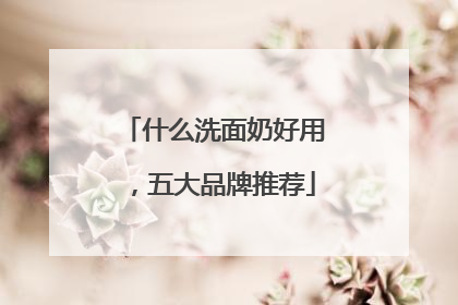 什么洗面奶好用，五大品牌推荐