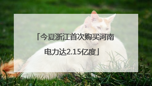 今夏浙江首次购买河南电力达2.15亿度