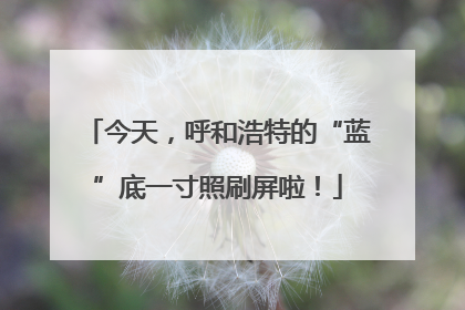 今天，呼和浩特的“蓝”底一寸照刷屏啦！