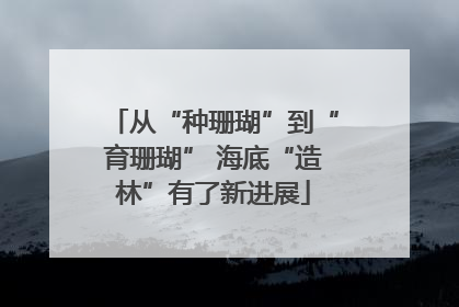 从“种珊瑚”到“育珊瑚” 海底“造林”有了新进展