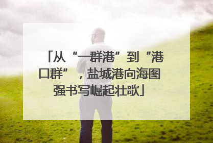 从“一群港”到“港口群”，盐城港向海图强书写崛起壮歌