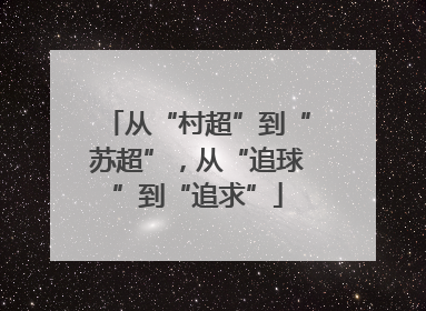 从“村超”到“苏超”，从“追球”到“追求”