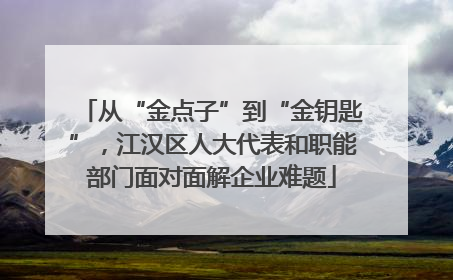 从“金点子”到“金钥匙”，江汉区人大代表和职能部门面对面解企业难题