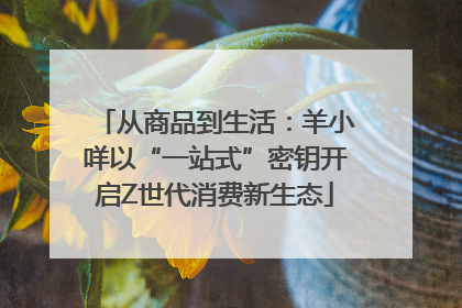 从商品到生活：羊小咩以“一站式”密钥开启Z世代消费新生态
