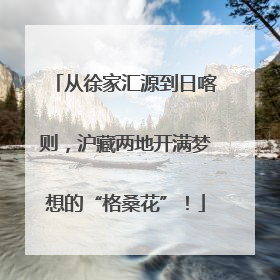 从徐家汇源到日喀则，沪藏两地开满梦想的“格桑花”！