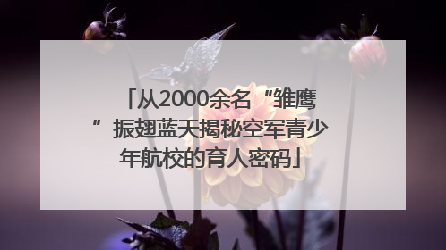 从2000余名“雏鹰”振翅蓝天揭秘空军青少年航校的育人密码
