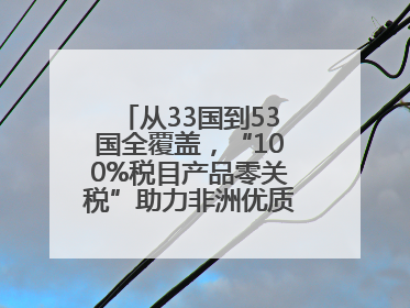 从33国到53国全覆盖，“100%税目产品零关税”助力非洲优质商品入华