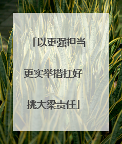 以更强担当更实举措扛好挑大梁责任