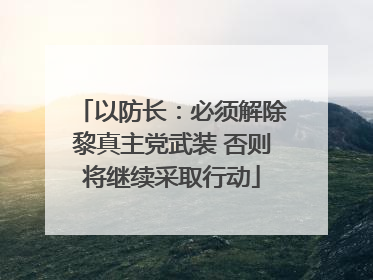 以防长：必须解除黎真主党武装 否则将继续采取行动
