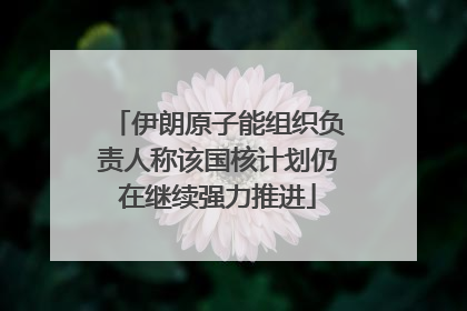 伊朗原子能组织负责人称该国核计划仍在继续强力推进
