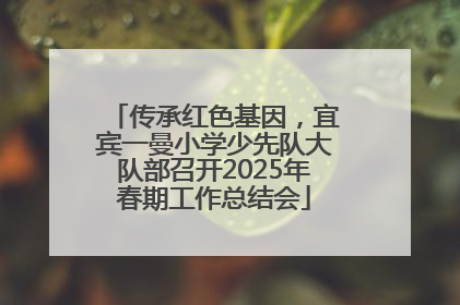 传承红色基因，宜宾一曼小学少先队大队部召开2025年春期工作总结会