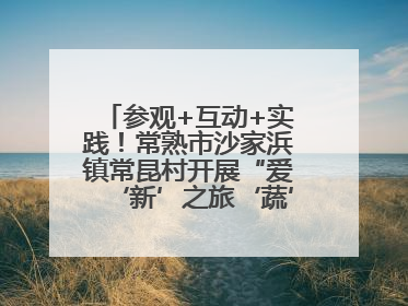 参观+互动+实践！常熟市沙家浜镇常昆村开展“爱‘新’之旅‘蔬’适生活”参观学习活动