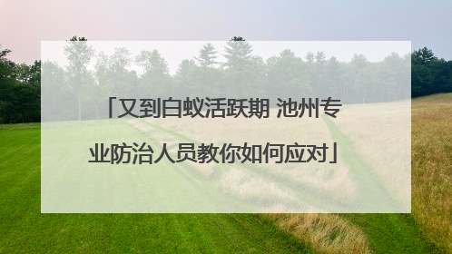 又到白蚁活跃期 池州专业防治人员教你如何应对