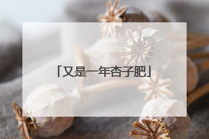 又是一年杏子肥