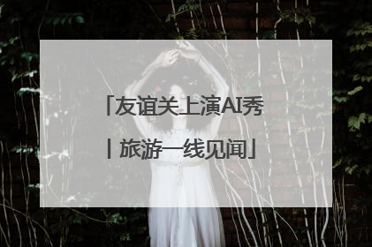 友谊关上演AI秀丨旅游一线见闻