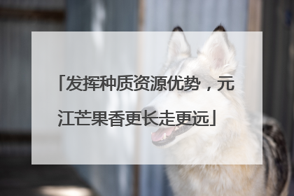 发挥种质资源优势，元江芒果香更长走更远