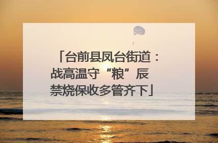 台前县凤台街道：战高温守“粮”辰 禁烧保收多管齐下