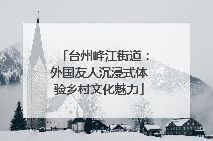 台州峰江街道：外国友人沉浸式体验乡村文化魅力