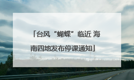 台风“蝴蝶”临近 海南四地发布停课通知